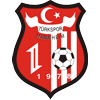 Mannheimtuerkspor.gif