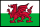 Flag of Wales (bordered).svg